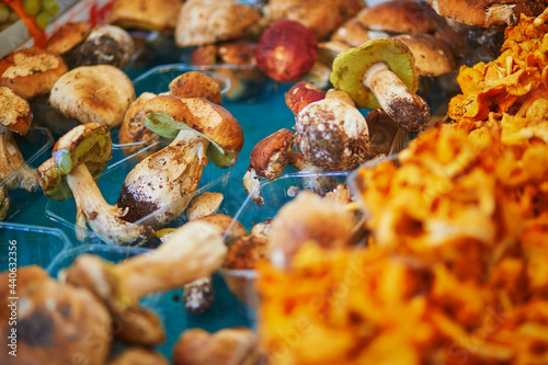 Fototapeta Naklejka Na Ścianę i Meble -  Fresh organic girolle and boletus mushrooms on farmer market in Paris, France