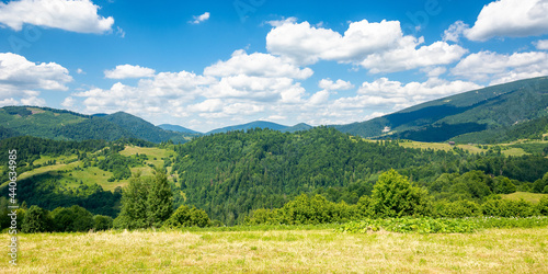 Fototapeta Naklejka Na Ścianę i Meble -  grassy meadow in mountains. wonderful nature landscape. sunny summer day. clouds on the sky