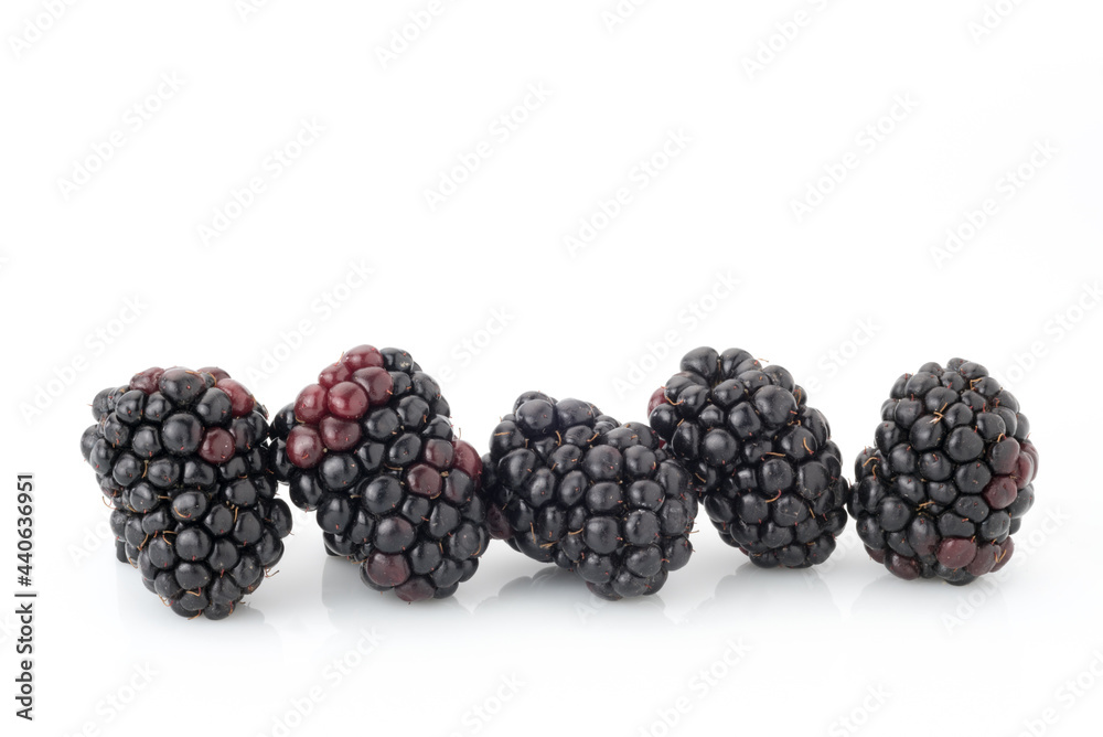 blackberries isolated on white, close up of five fruits, design for copy space or label blackberries isolated on white, close up of five fruits, design for copy space or label