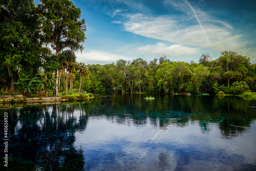 Fototapeta Naklejka Na Ścianę i Meble -  The Natural Spring scenery of Silver Springs Florida