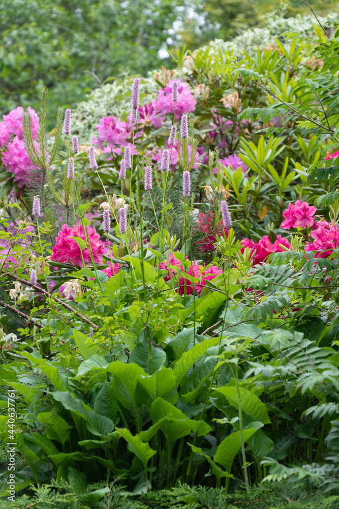 A garden in Norway A garden in Norway