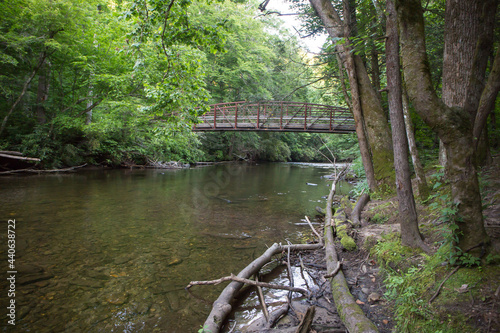 Tapety artystyczne Foot Bridge Over Wilderness River