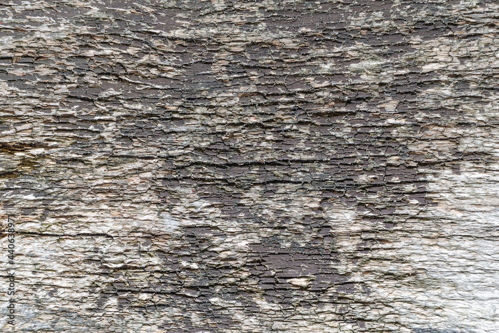 gray old worn board, texture, background gray old worn board, texture, background