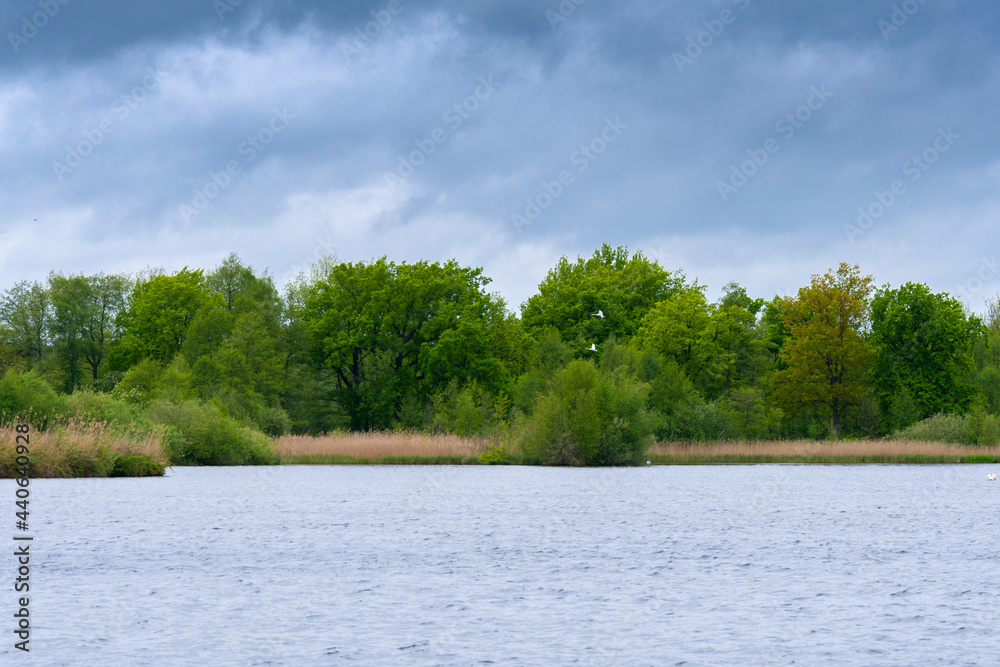 Meißendorfer Teiche/Bannetzer Moor in Niedersachsen, unberührte Natur Meißendorfer Teiche/Bannetzer Moor in Niedersachsen, unberührte Natur
