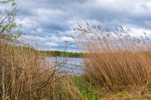 Meißendorfer Teiche/Bannetzer Moor in Niedersachsen, unberührte Natur photo