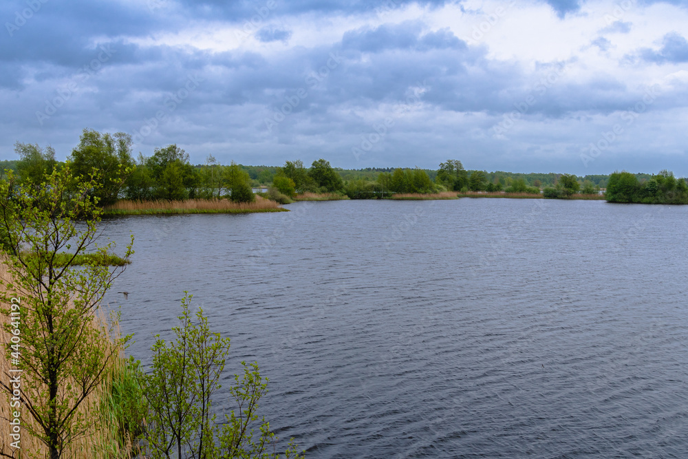 Meißendorfer Teiche/Bannetzer Moor in Niedersachsen, unberührte Natur Meißendorfer Teiche/Bannetzer Moor in Niedersachsen, unberührte Natur