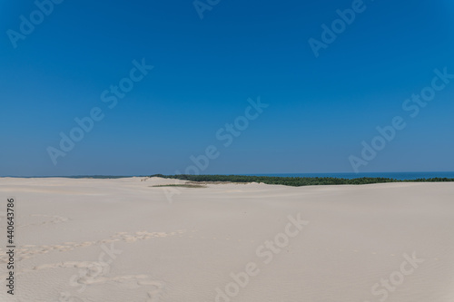 sand dunes on the beach