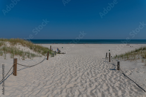 sand dunes and beach