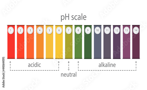 pH value scale chart for acid and alkaline solutions, acid-base balance infographic