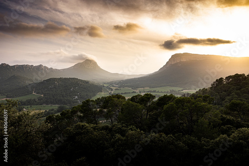 Le Pic-Saint-Loup & L'Hortus - Hérault - France