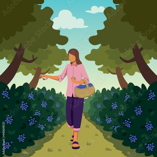 Forest Fruit Picking