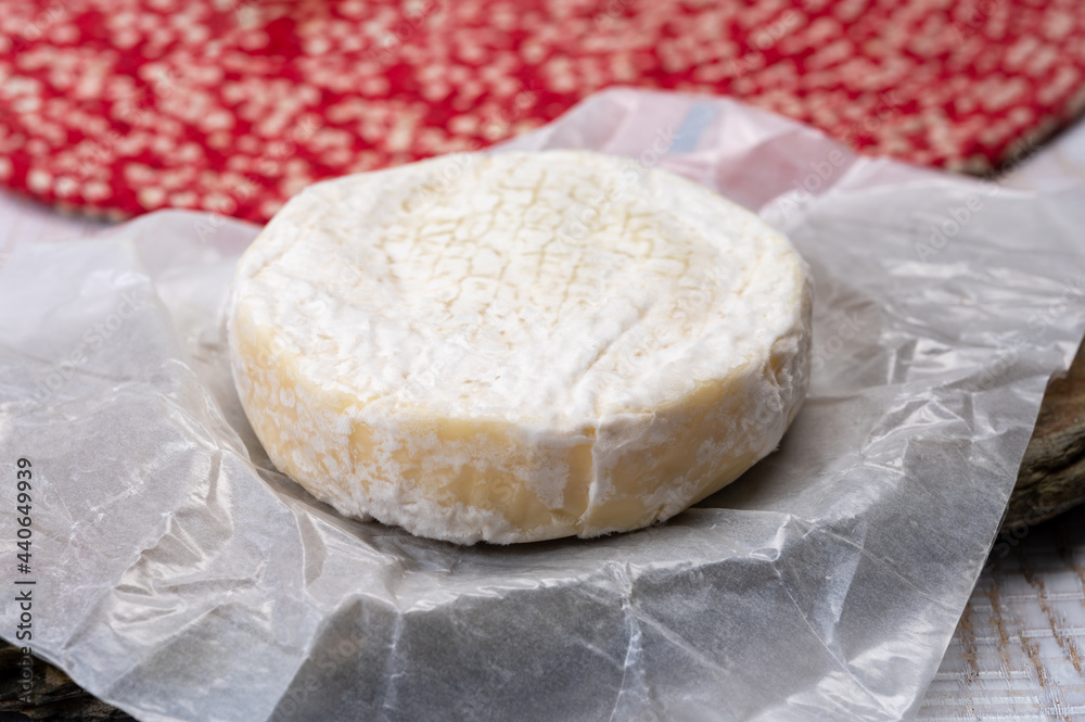 Cheese collection, fresh white soft cow cheese with mold from Swiss Cheese collection, fresh white soft cow cheese with mold from Swiss