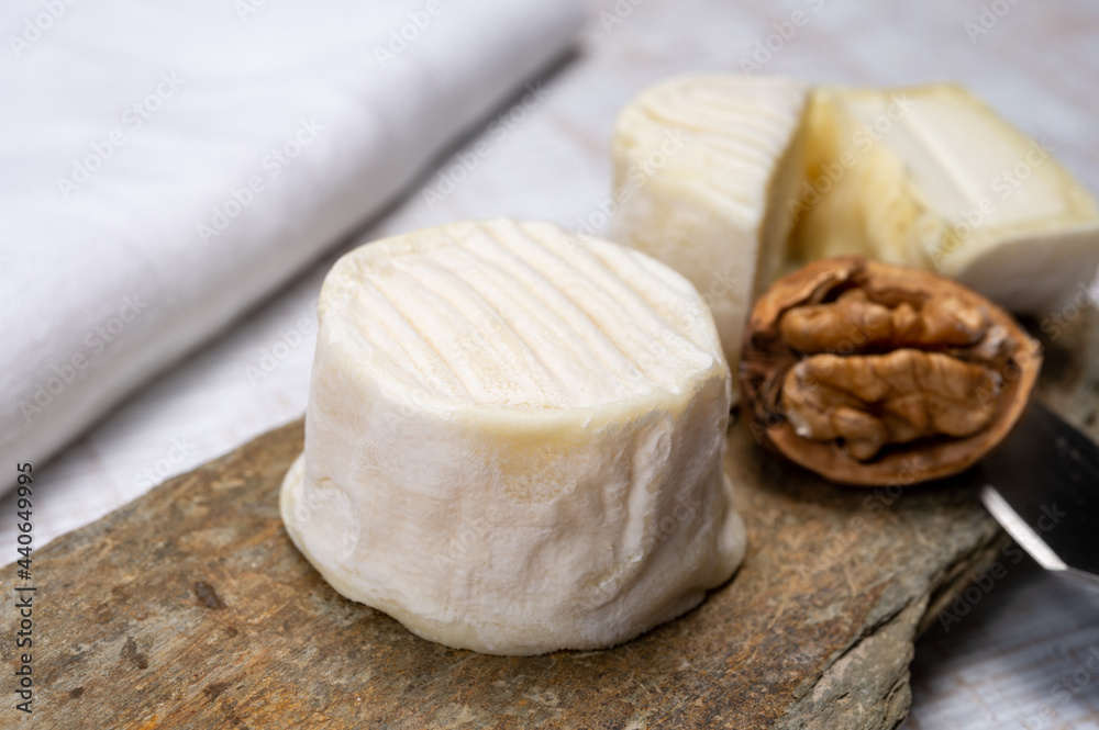 Cheese collection, soft goat French cheese with mold crottin de Chavignol produced in Loire Valley Cheese collection, soft goat French cheese with mold crottin de Chavignol produced in Loire Valley