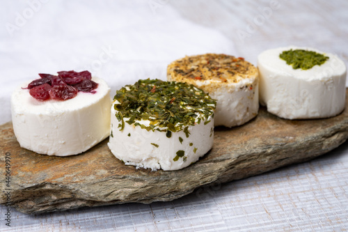 Cheese collection, variety of fresh white soft goat French cheeses with aromatic herbs, berries and green pesto