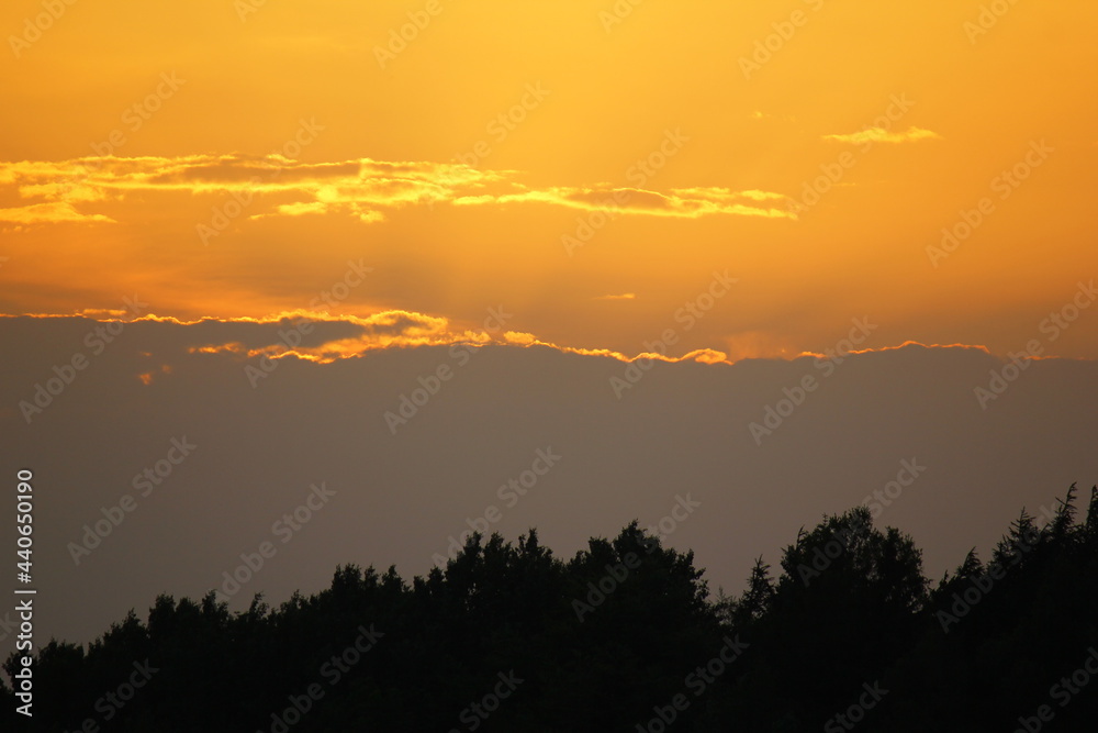 Obraz premium Sunset over the forest