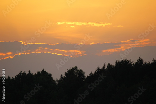 Sunset over the forest