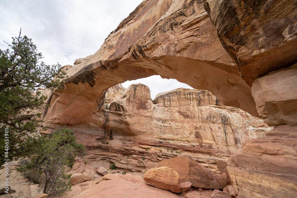 Hickman Bridge, an arch formation in Capitol Reef National Park Utah Hickman Bridge, an arch formation in Capitol Reef National Park Utah