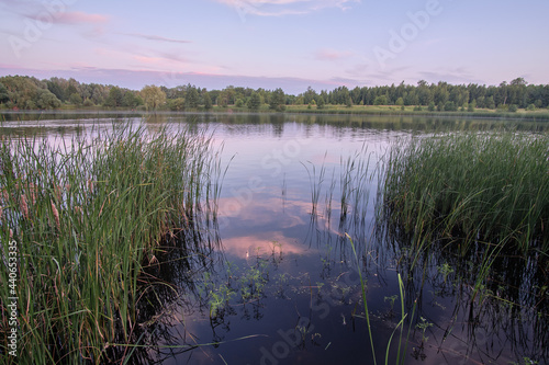 sunset over the river