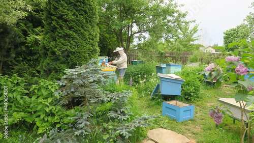 agriculture, altogether, apiarian, apiarist, apiary, apiculture, background, bee, bee-keeping, beehive, beehives, beekeeper, beekeeping, bees, cell, colony, crate, family, farm, farmer, fly, frame, ga
