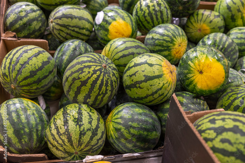  Close up view of watermelons on shelf of supermarket. Sweden. 