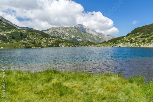Fototapeta Naklejka Na Ścianę i Meble -  Fish Banderitsa lake at Pirin Mountain, Bulgaria