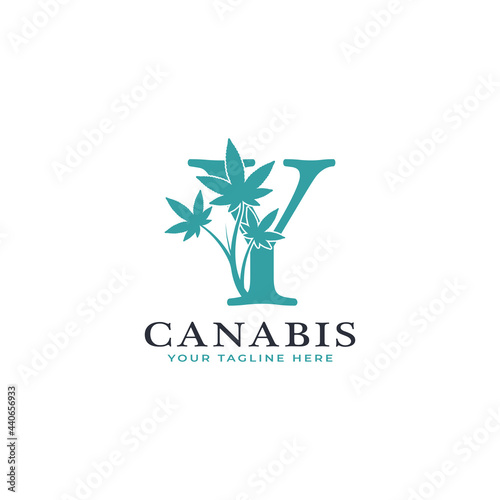 Letter Y Green Canabis Logo Alphabet With Medical Marijuana Leaf. Usable for Business, Science, Healthcare, Medical and Nature Logos.