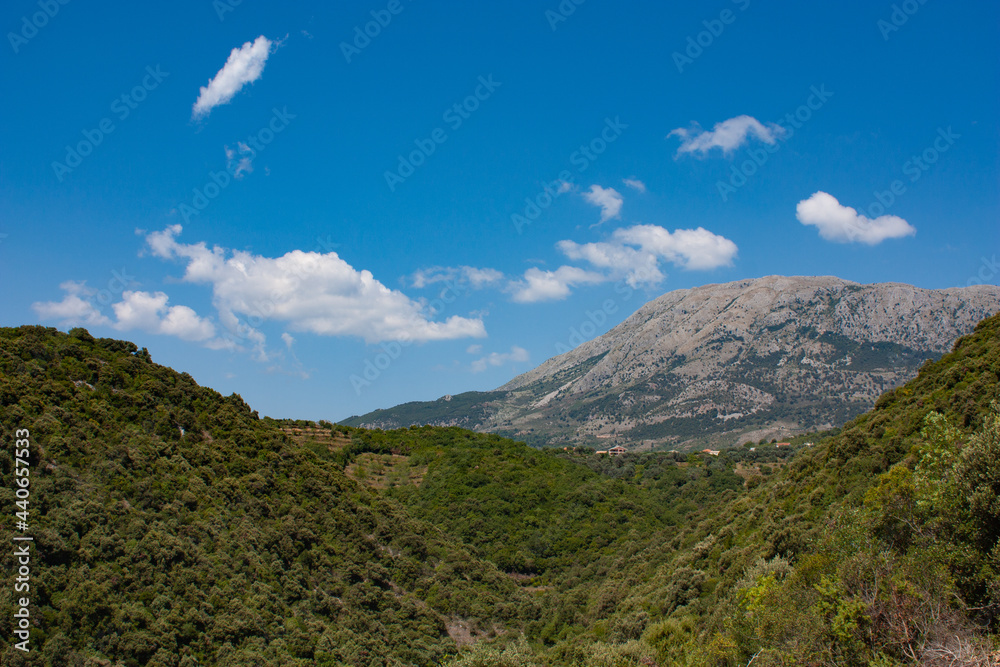 summer mountains green grass and blue sky landscape summer mountains green grass and blue sky landscape