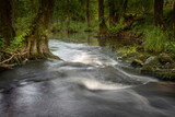 rzeka płynąca przez las