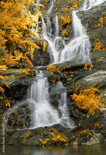 Cascata de Água com as cores douradas do outono 