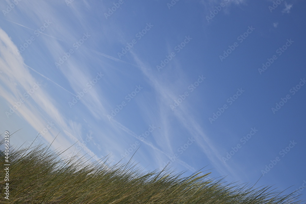 Obraz premium Birds flying around the coastal area of Zeeland. 