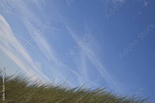 Birds flying around the coastal area of Zeeland. 