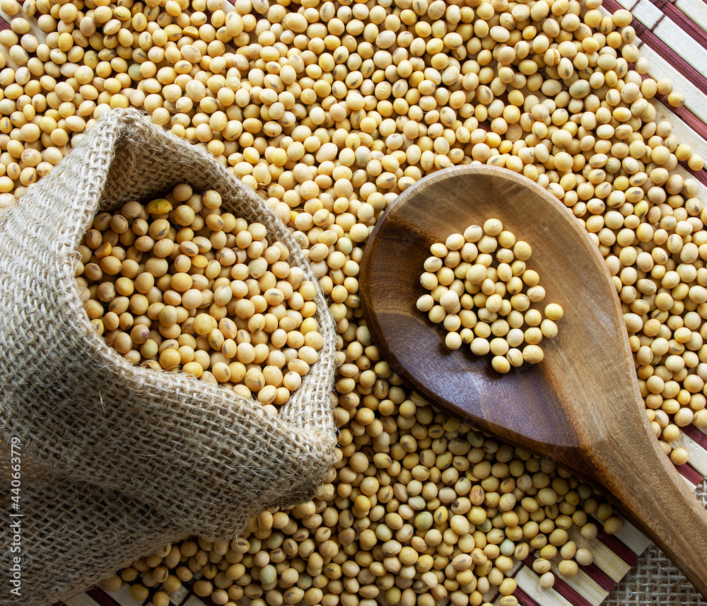 Fototapeta premium Soybeans - harvest in the state of Mato Grosso do Sul