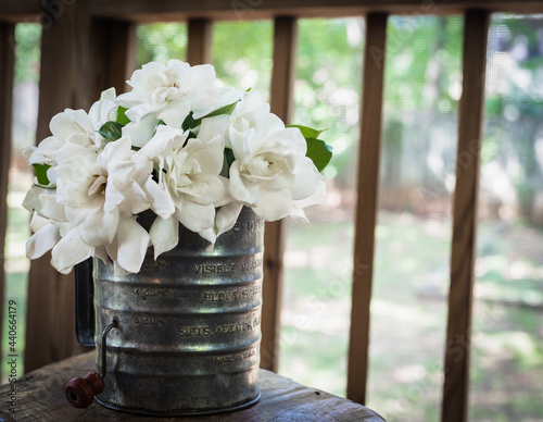 Bouquet of Gardenias in an antique flour sifter