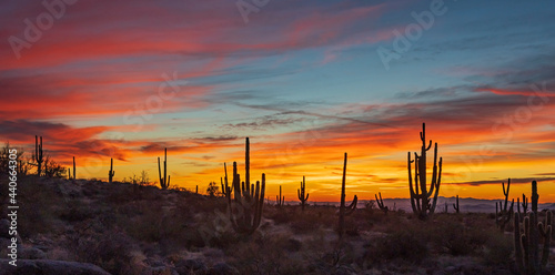 Sunset Over Desert Landscape Near Phoenix 
