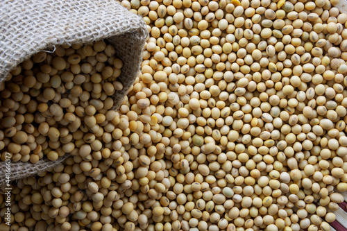 Soybeans - harvest in the state of Mato Grosso do Sul