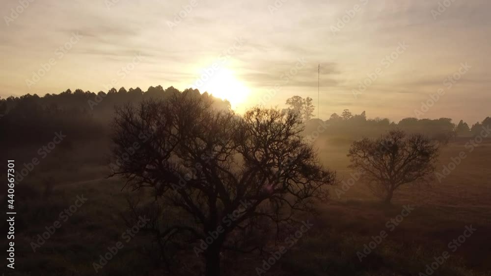 neblina amanecer neblina amanecer
