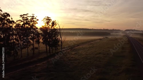 neblina campo argentino