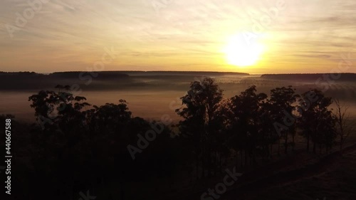 neblina en la mañana 