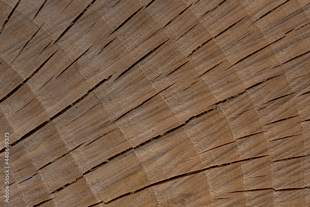 Fototapeta premium Closeup of surface of a wooden cross-section cut