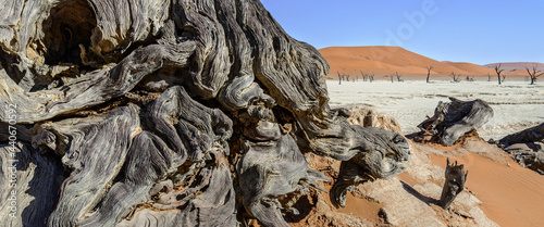 Sossusvlei (Dead Vlei), Namibia.