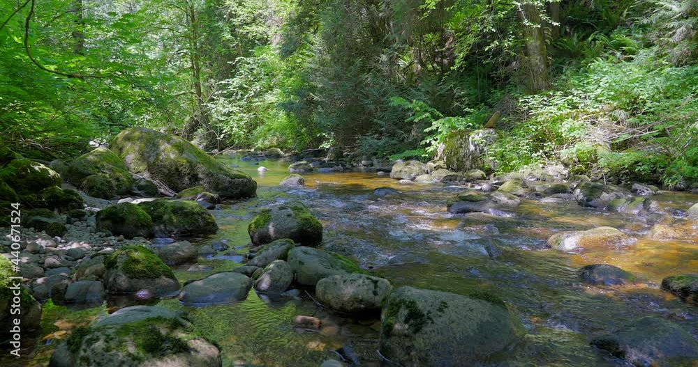 Establishing shot of Majestic mountain creek with rocky background in Vancouver, Canada, North America. Day time on June 2021. Still camera view. ProRes 422 HQ. Establishing shot of Majestic mountain creek with rocky background in Vancouver, Canada, North America. Day time on June 2021. Still camera view. ProRes 422 HQ.