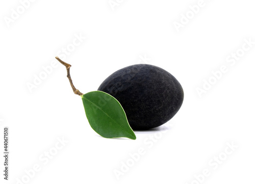 Black Velvet Tamarind (Dialium cochinchinense) isolated on white background. photo