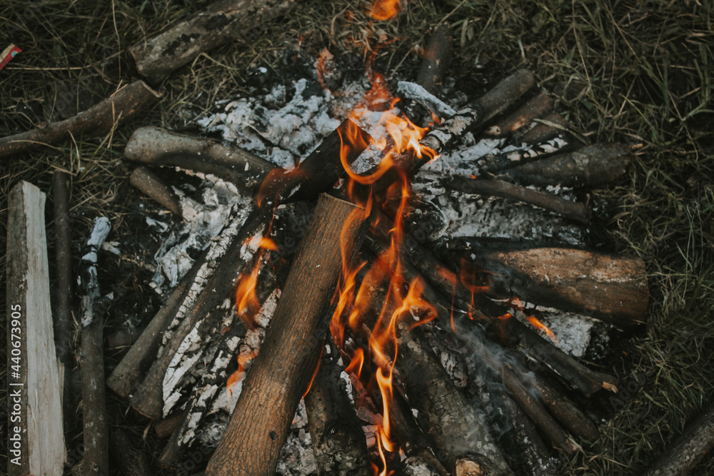 the coals of a campfire in the forest closeup the coals of a campfire in the forest closeup