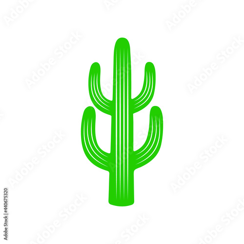 cacti vector illustration design