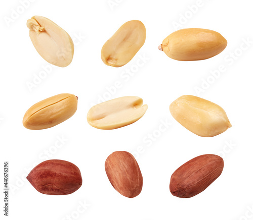 Collection of peanuts isolated on white background photo