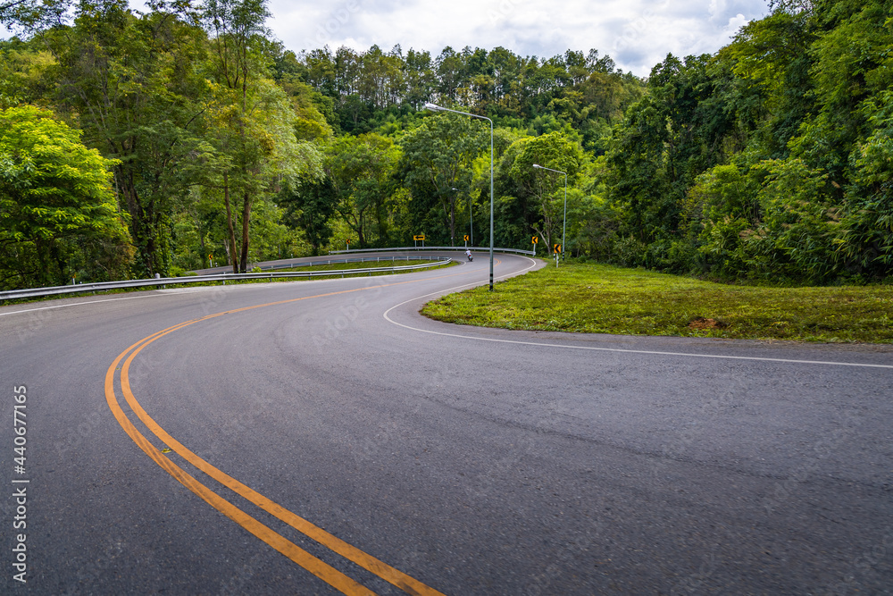 curving road through the forest.