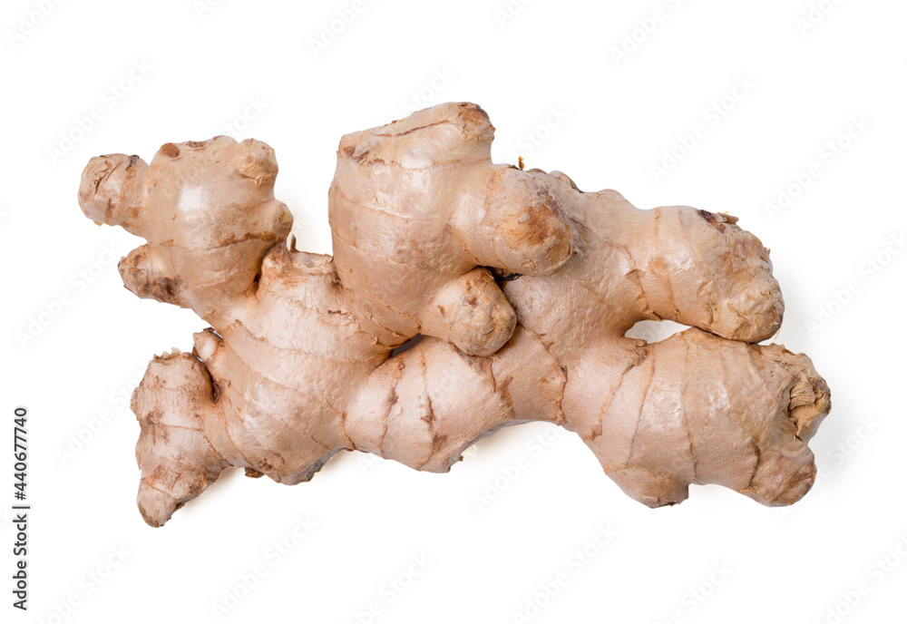 Fresh ginger root rhizome with shredded ginger on white background,