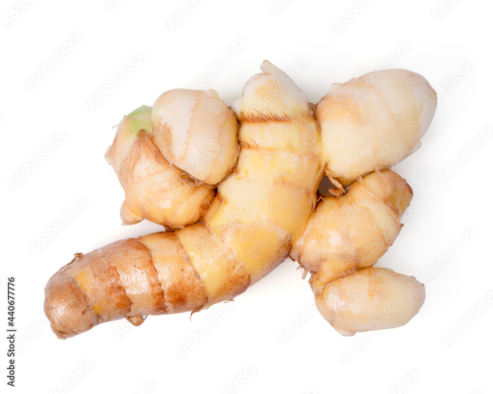 White turmeric root on white background.