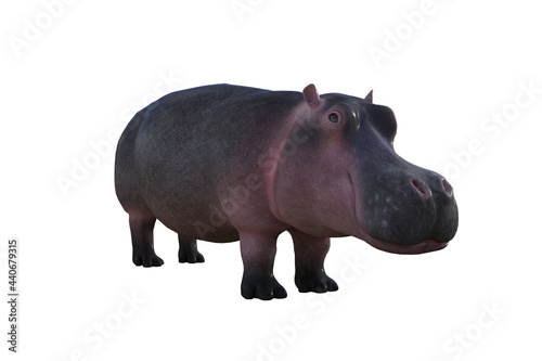 Cartoon character hippopotamus on a white background. Rendered in different angles. 3D illustration, 3D rendering.