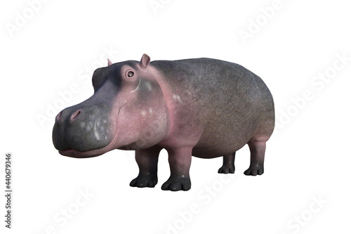 Cartoon character hippopotamus on a white background. Rendered in different angles. 3D illustration, 3D rendering.